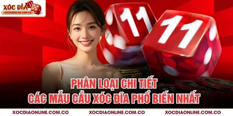 Phân loại chi tiết các mẫu cầu xóc đĩa phổ biến nhất