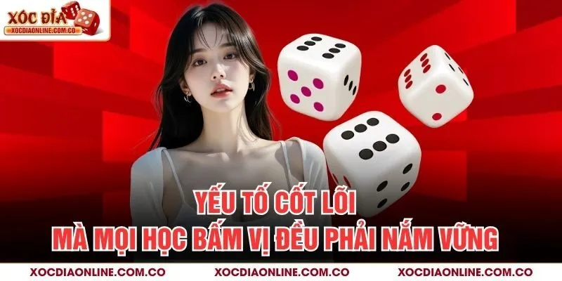 Yếu tố cốt lõi mà mọi học bấm vị đều phải nắm vững